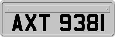 AXT9381