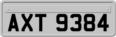 AXT9384
