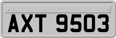 AXT9503