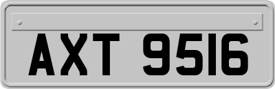 AXT9516
