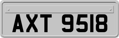 AXT9518