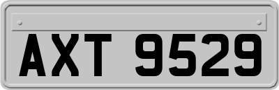AXT9529