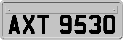 AXT9530