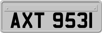 AXT9531
