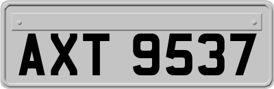 AXT9537