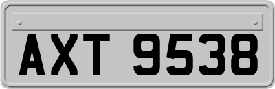 AXT9538