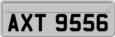 AXT9556