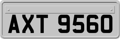 AXT9560