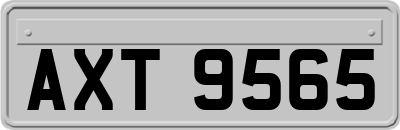 AXT9565