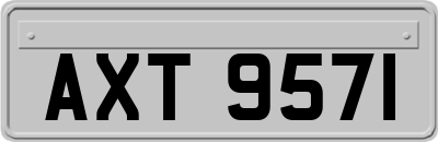 AXT9571