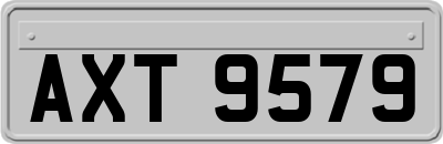 AXT9579