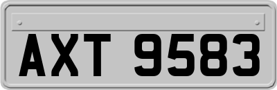 AXT9583