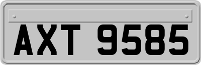 AXT9585