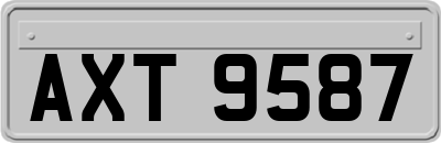 AXT9587