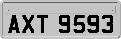 AXT9593