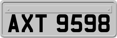 AXT9598