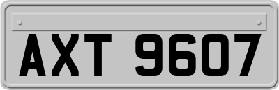 AXT9607