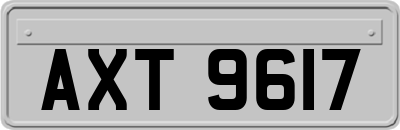 AXT9617