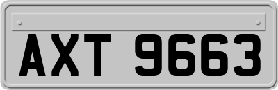 AXT9663