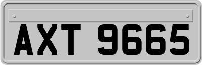 AXT9665