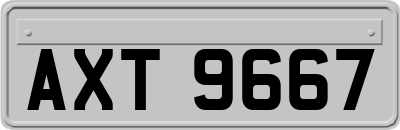 AXT9667