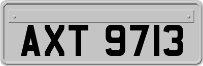 AXT9713