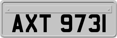 AXT9731