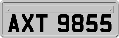 AXT9855