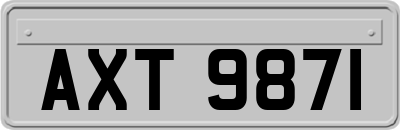 AXT9871