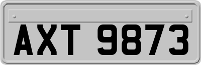 AXT9873