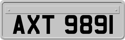AXT9891
