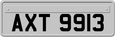 AXT9913