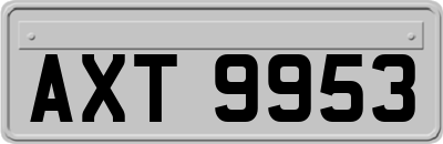 AXT9953