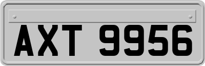 AXT9956