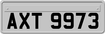 AXT9973