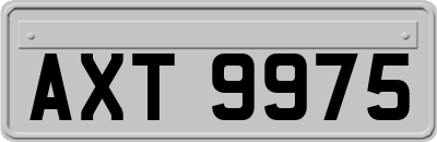 AXT9975