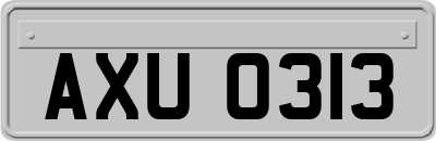 AXU0313