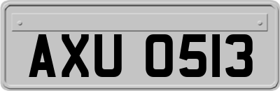 AXU0513