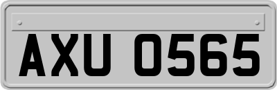 AXU0565