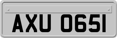 AXU0651