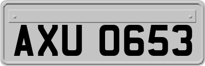 AXU0653