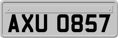AXU0857