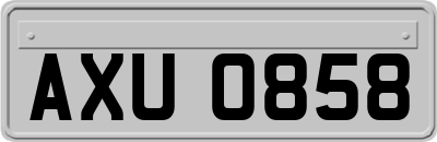 AXU0858