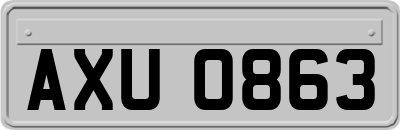 AXU0863