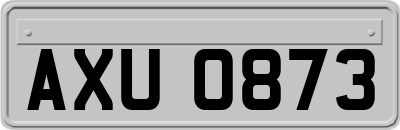 AXU0873