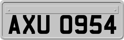 AXU0954