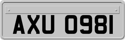 AXU0981