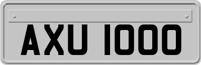 AXU1000