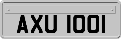AXU1001