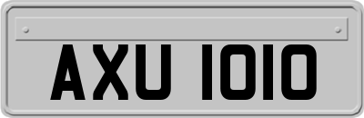 AXU1010
